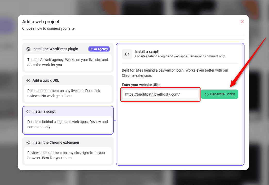 Website URL entered, ready to generate the script