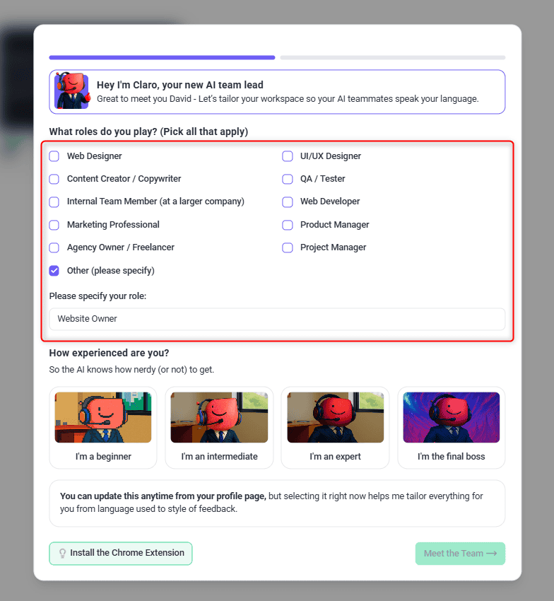 Client setup asking What roles do you play?, with Other (please specify) ticked and Website Owner entered as the role