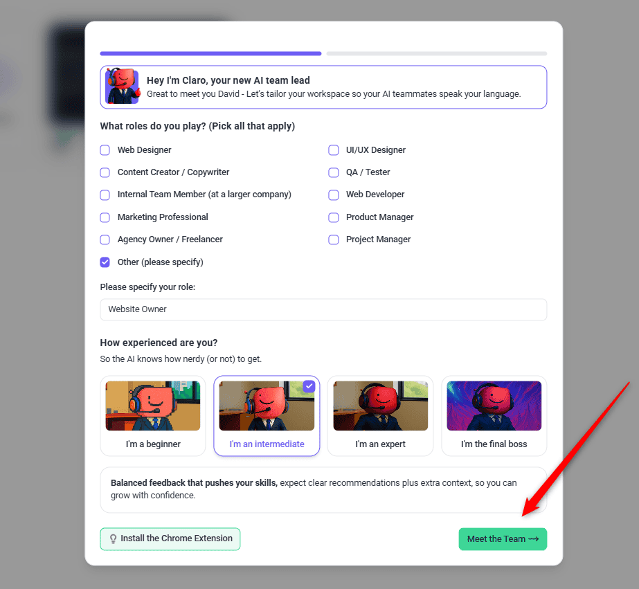 Client setup with a role and an experience level chosen and the Meet the Team button highlighted
