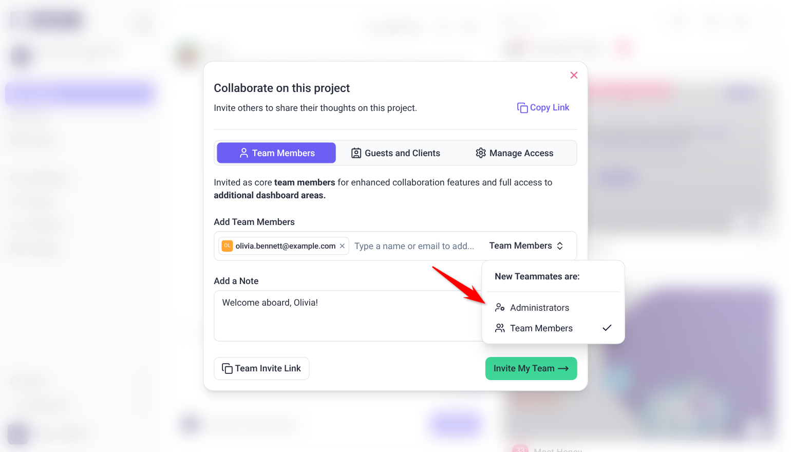 Collaborate on this project window on the Team Members tab, with an email added and the New Teammates are: menu open