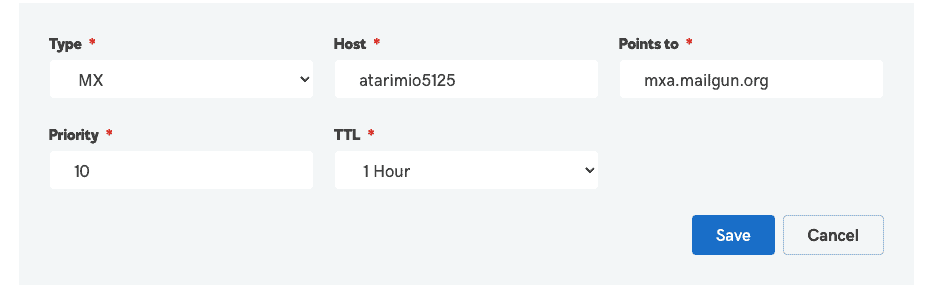 MX record entry in the DNS records table